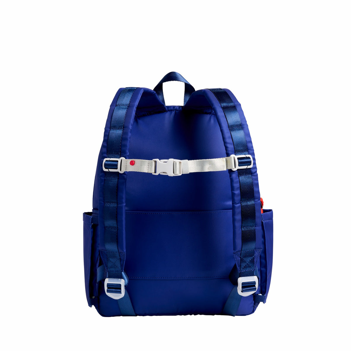 Detachable Chest Strap Zebra