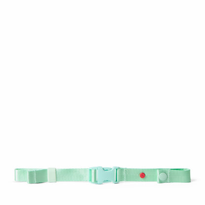 Detachable Chest Strap Mint